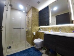 Sims Urban Oasis (D14), Condominium #505737021
